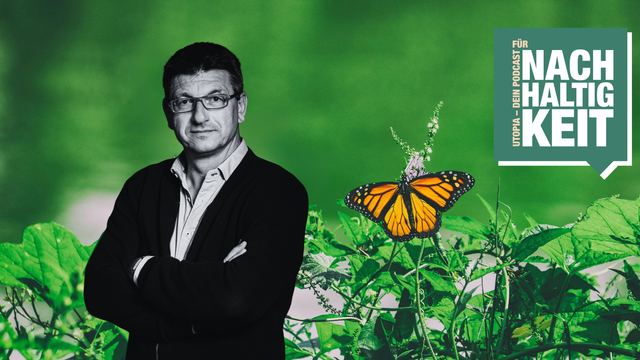 Mastthias Glaubrecht Mastthias Glaubrecht