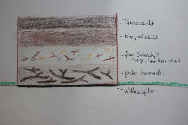 mit-diesen-schichten-kannst-du-dein-hochbeet-fuer-g-staber-utopia-200316_download Mit diesen vier Schichten kannst du ein Hochbeet für Gemüse befüllen.