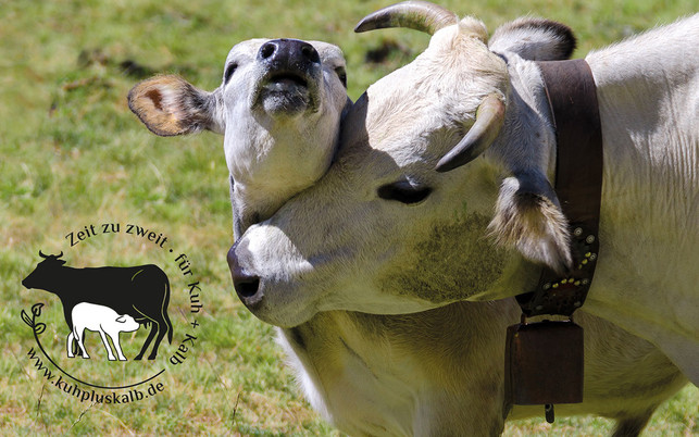 KuhUndKalb_logo-demeter-1280x800px demeter Milch zeit zu zweit siegel, kuhgebundene Kälberaufzucht