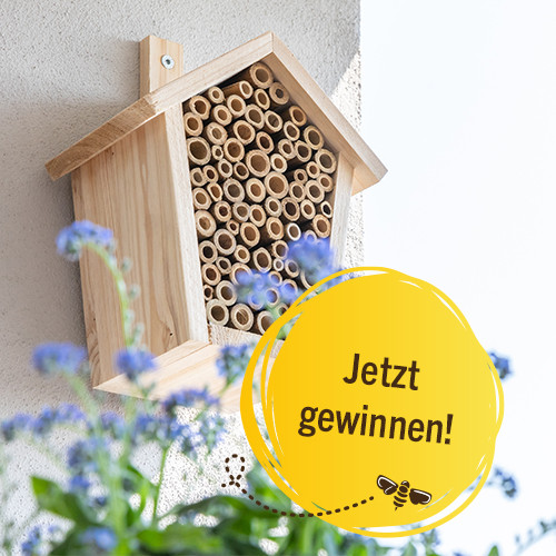 toom gewinnspiel bienenhotel gewinnen bienenschutz bienenfreundliche Pflanzen