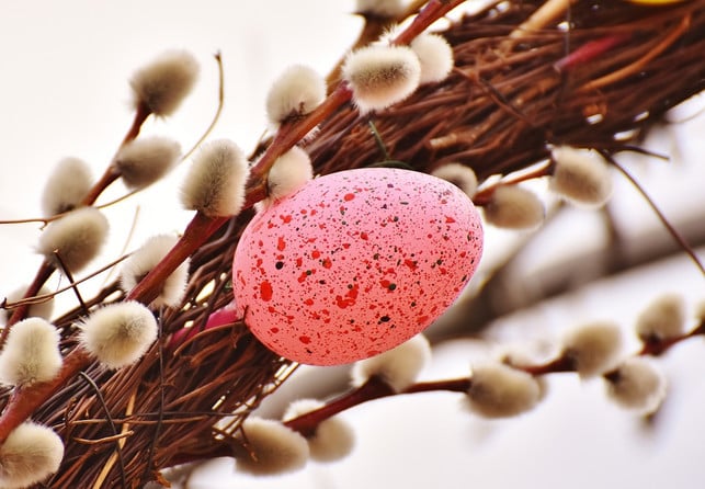 palmkaetzchen-werden-gerne-fuer-osterdekorationen-ge-cc0-pixabay-alexas_fotos-180216_download Palmkätzchen werden gerne für Osterdekorationen genutzt