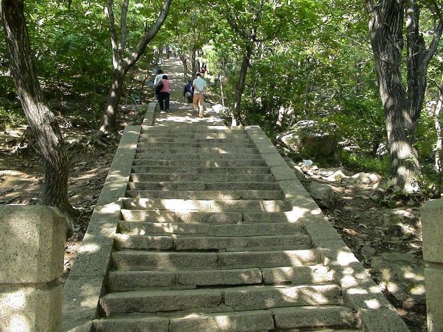 das-tao-ist-nicht-die-vollendung-sondern-der-weg-cc0-pixabay-bm10777-200327_download Das Tao ist nicht die Vollendung, sondern der Weg selbst.