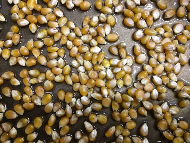 nur-so-viel-mais-in-die-pfanne-geben-dass-der-bod-rhea-moutafis-utopia-170928_download Geh lieber etwas sparsamer mit dem Mais um, wenn du Popcorn selber machen willst – so verhinderst du, dass er anbrennt.