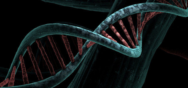 Forscher:innen haben eine seltene Gen-Mutation untersucht.