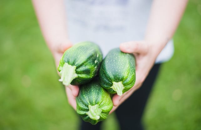 frisches-gemuese-aus-dem-garten-wie-zum-beispiel-z-cc0-pixabay-pexels-240129_download Frisches Gemüse aus dem Garten, wie zum Beispiel Zucchini, eigenen sich hervorragend zum Blanchieren.