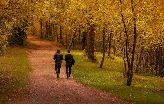 kommunikation-hilft-mit-der-midlife-krise-konstru-cc0-pixabay-lars_nissen-220111_download Kommunikation hilft, mit der Midlife-Krise konstruktiv umzugehen.