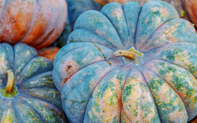 Muskatkürbis Muskatkürbis kann man mit Schale essen, weil sie sehr hart ist, entfernt man sie aber meist besser.