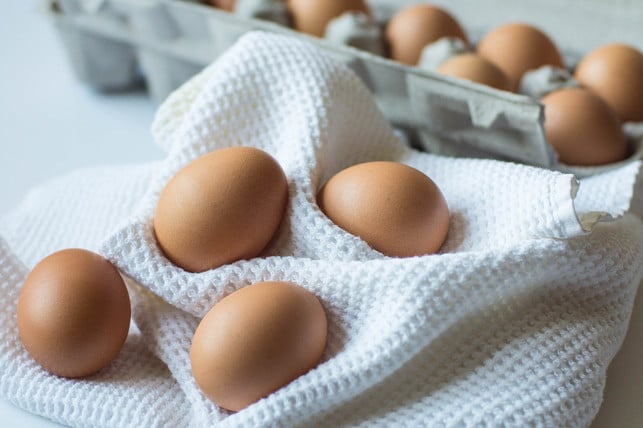 um-eier-haltbar-zu-machen-kannst-du-sie-fermentie-cc0-pixabay-melaniefhardy-220929_download Um Eier haltbar zu machen, kannst du sie fermentieren.