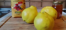 quittenmarmelade-selber-machen-in-wenigen-schritte-utopia-inke-klabunde-171023 Quittenmarmelade selber machen in wenigen Schritten