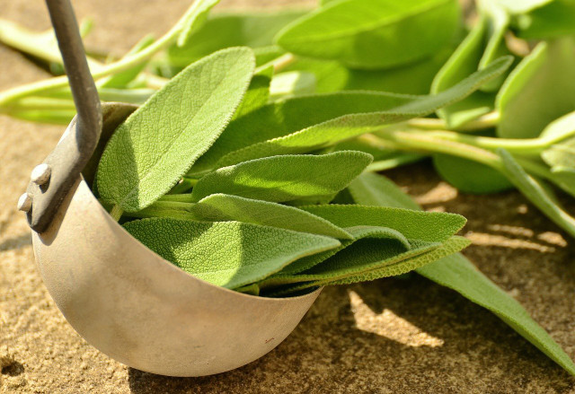 Sage has an antiperspirant effect and can therefore also reduce excessive sweating on the head.