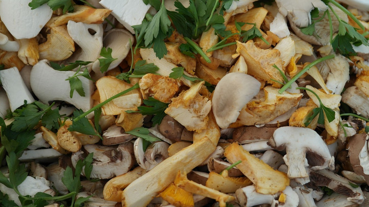 Champignons lagern: So bleiben sie lnger frisch - Utopia.de