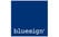 bluesign bluesign