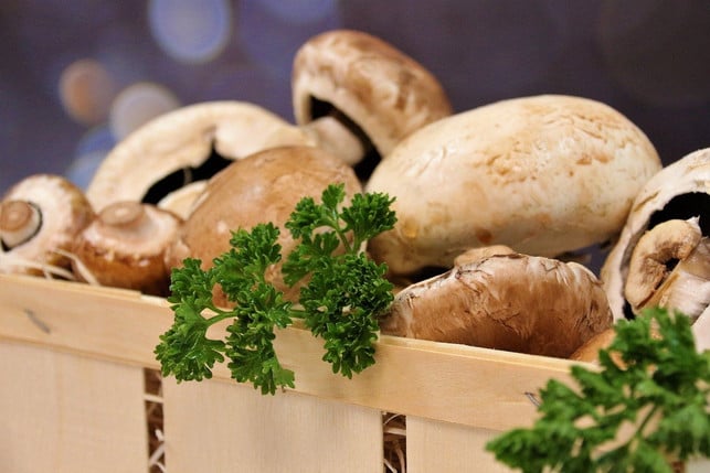 champignons-haben-das-ganze-jahr-ueber-saison-cc0-pixabay-furbymama-200827_download Champignons haben das ganze Jahr über Saison.