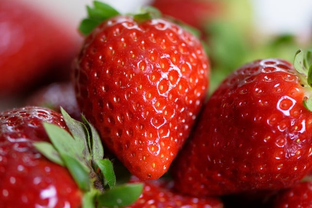 im-schraubglas-halten-sich-erdbeeren-sehr-viel-laen-cc0-pixabay-alexas_fotos-230725_download Im Schraubglas halten sich Erdbeeren sehr viel länger.
