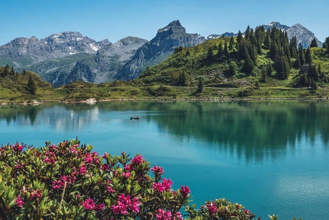 in-der-schweiz-erwartet-dich-ein-atemberaubendes-p-cc0-pixabay-165106-220318_download In der Schweiz erwartet dich ein atemberaubendes Panorama.