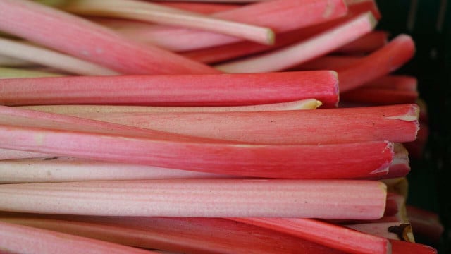 Ist Rhabarber Obst oder Gemüse? Utopia.de