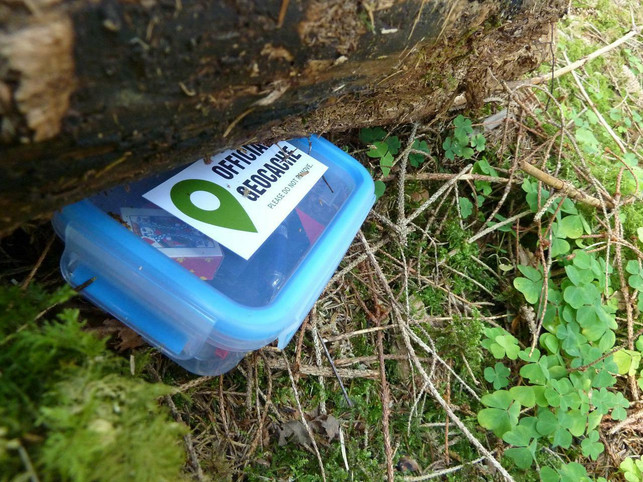 geocaching-kann-auch-als-teamevent-spass-machen-cc0-pixabay-settergren-220811_download Geocaching kann auch als Teamevent Spaß machen.