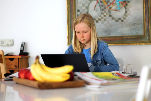 forschende-zum-thema-betonen-dass-es-wichtig-auch-cc0-pixabay-muscat_coach-230228_download Forschende zum Thema betonen, dass es wichtig auch schon Kindern in der Schule Strategien beizubringen um in der Informationsflut durchzublicken.