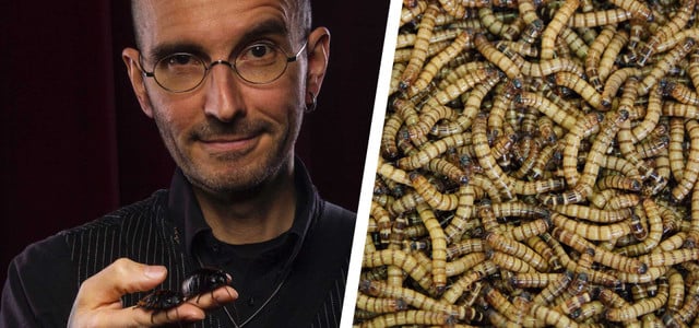Insekten essen: Biologe Mark Benecke im Utopia-Interview