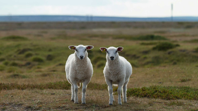 jorgen-haland-4yOgRb_b_i4-unsplash_1920x1080px Dateien Kopien Digital Waste Energie Speicherplatz