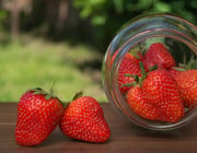 Erdbeeren Schraubglas