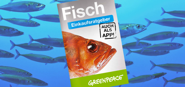 Greenpeace Fischratgeber