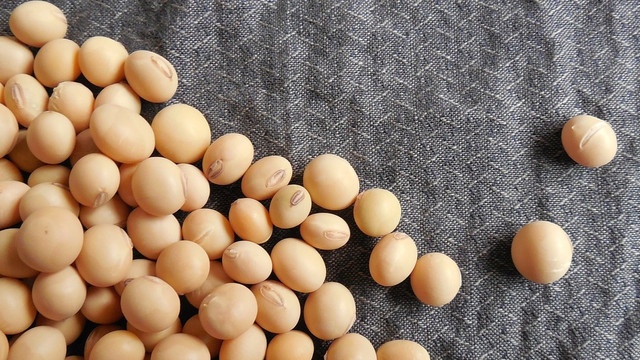 isoflavone-cc0--pixabay--jing-190117 Isoflavone