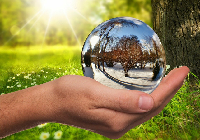 der-phaenologische-kalender-unterscheidet-zwischen-cc0-pixabay-alexas_fotos-210528_download Der phänologische Kalender unterscheidet zwischen zehn verschiedenen Perioden.