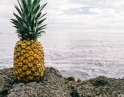 Ananasleder: günstig, vegan und nachhaltig