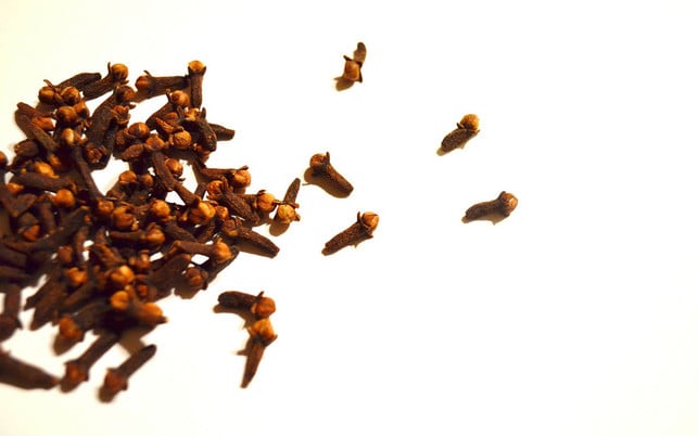 nelken natuerliche entzuendungshemmer nelken natuerliche entzuendungshemmer