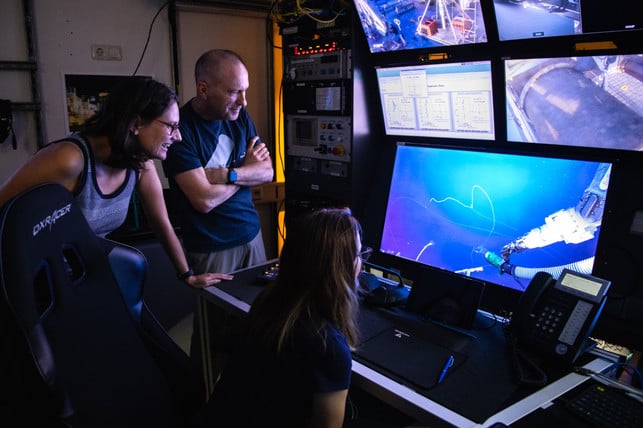 Der Moment, als die Forschenden die Staatsqualle entdeckten Der Moment, als die Forschenden die Staatsqualle entdeckten