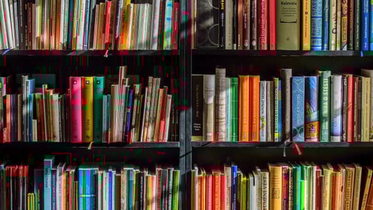 buecher-entsorgen-cc0-pixabay-luboshouska-190614 bücher entsorgen