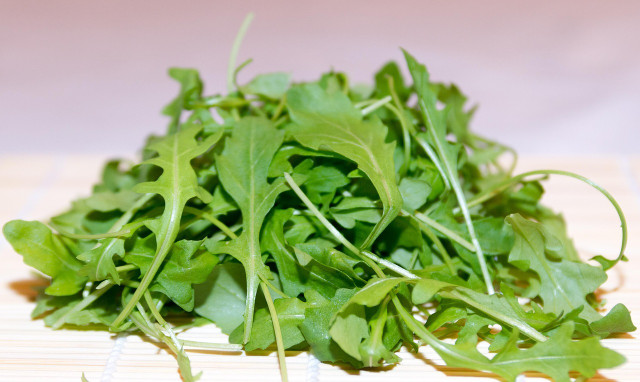 Rucola wächst schnell und ist pflegeleicht.