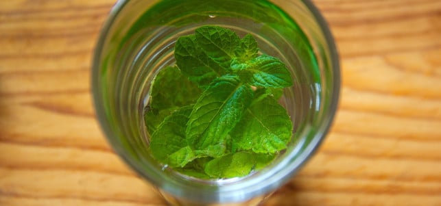 wasser-minze-pb-devanath-170130-1280x600 Mit frischer Minze schmeckt ödes Leitungswasser erfrischend und lecker.
