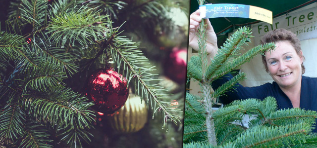 Fair-Tree-fairer-Weihnachtsbaum