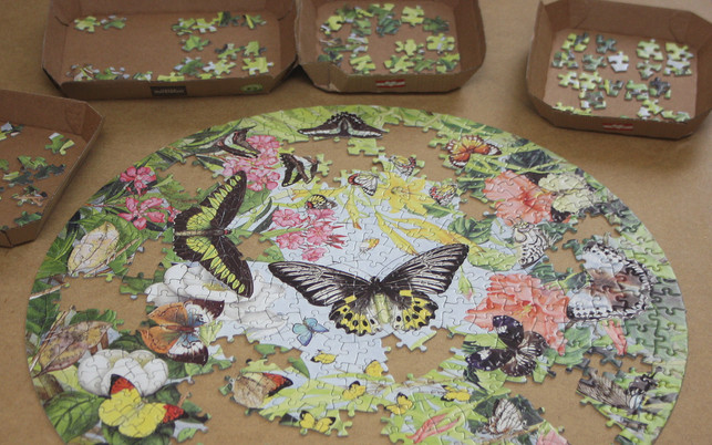 auch-schwierige-puzzles-lassen-sich-mit-system-ein-maria-hohenthalutopia-201220_download Auch schwierige Puzzles lassen sich mit System einfach lösen.