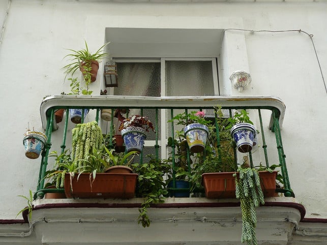 haengepflanzen-werten-jeden-balkon-auf-cc0-pixabay-cocoparisienne-200602_download Hängepflanzen werten jeden Balkon auf.