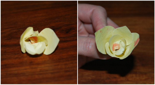 in-paerchen-faltest-du-die-blumenblaetter-zusammen-melanie-von-daake-utopia-180703_download In Pärchen faltest du die Blumenblätter zusammen, Lage um Lage, immer zwei gegenüberliegende Blätter.