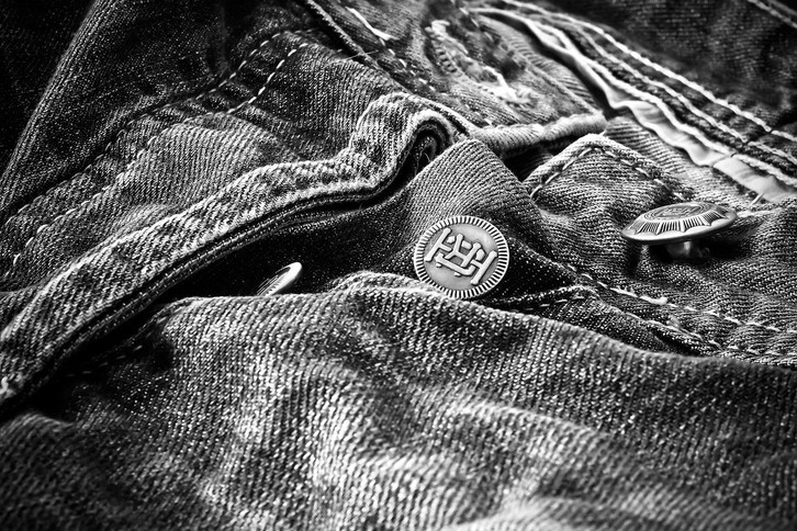 elefantenfuß kälte Elefantenfuß - Beaucarnea recurvata main image 0
