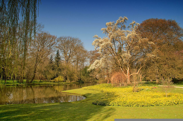 braune-seen-und-fluesse-entstehen-durch-organisches-cc0-pixabay-stan_laurel-220824_download Braune Seen und Flüsse entstehen durch organisches Material, das aufgrund der Klimakrise vermehrt entsteht und eingespült wird.