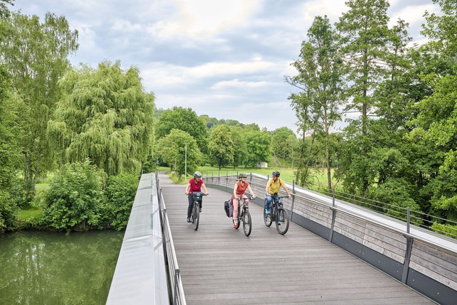 der-radweg-liebliches-taubertal-fuehrt-entlang-de-tourismusverband-liebliches-taubertalfloriantry-241231_download Der Radweg "Liebliches Taubertal" führt entlang des Flusses und an schönen Weinhängen vorbei.