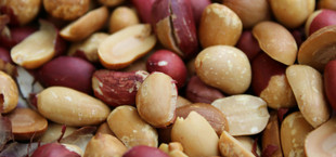 Nahaufnahme von ungeschälten und teilweise geschälten Erdnüssen mit brauner und rötlicher Schale.