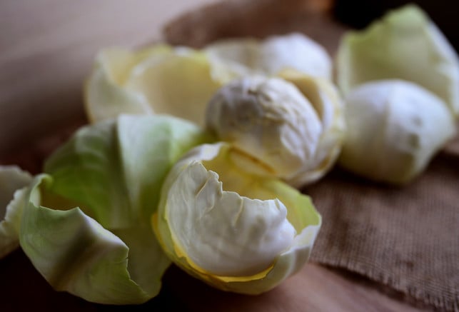 koche-den-kohl-mit-etwas-essig-um-kohlgeruch-vorz-cc0-pixabay-congerdesign-250228_download Koche den Kohl mit etwas Essig, um Kohlgeruch vorzubeugen.