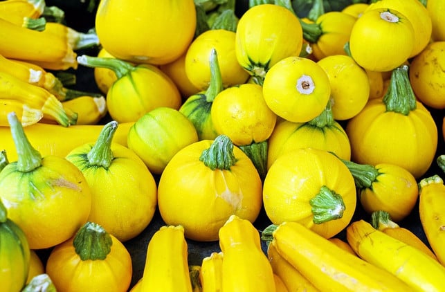 gelbe-zucchinis-gibt-es-in-rund-und-in-laenglich-cc0-pixabay-couleur-220909_download-1 Gelbe Zucchinis gibt es in rund und in länglich.