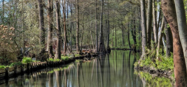 spreewald reisen deutschland