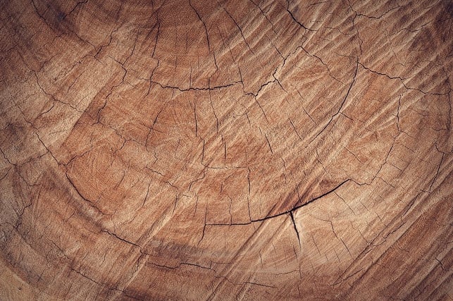 eichenholz-ist-sehr-robust-und-langlebig-cc0-pixabay-pexels-200421_download Eichenholz ist sehr robust und langlebig.