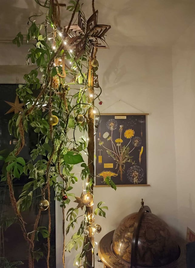 3 Weihnachtsbaum-Alternativen im Test: So wird’s auch ohne Tanne festlich 3 Weihnachtsbaum-Alternativen im Test: So wird’s auch ohne Tanne festlich