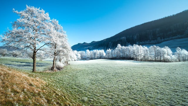 milder-winter-cc0-pixabay-adege-220202 Milder Winter
