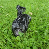 hundekot-einsammeln-tuete-210817-1280x720 Tüten mit Hundekot gehören in den Restmüll.