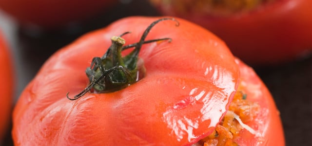 gefüllte tomaten